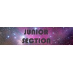 JUNIOR SECTION