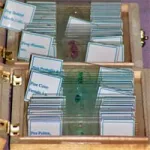 Samples
