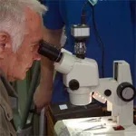 Stereo Microscopes